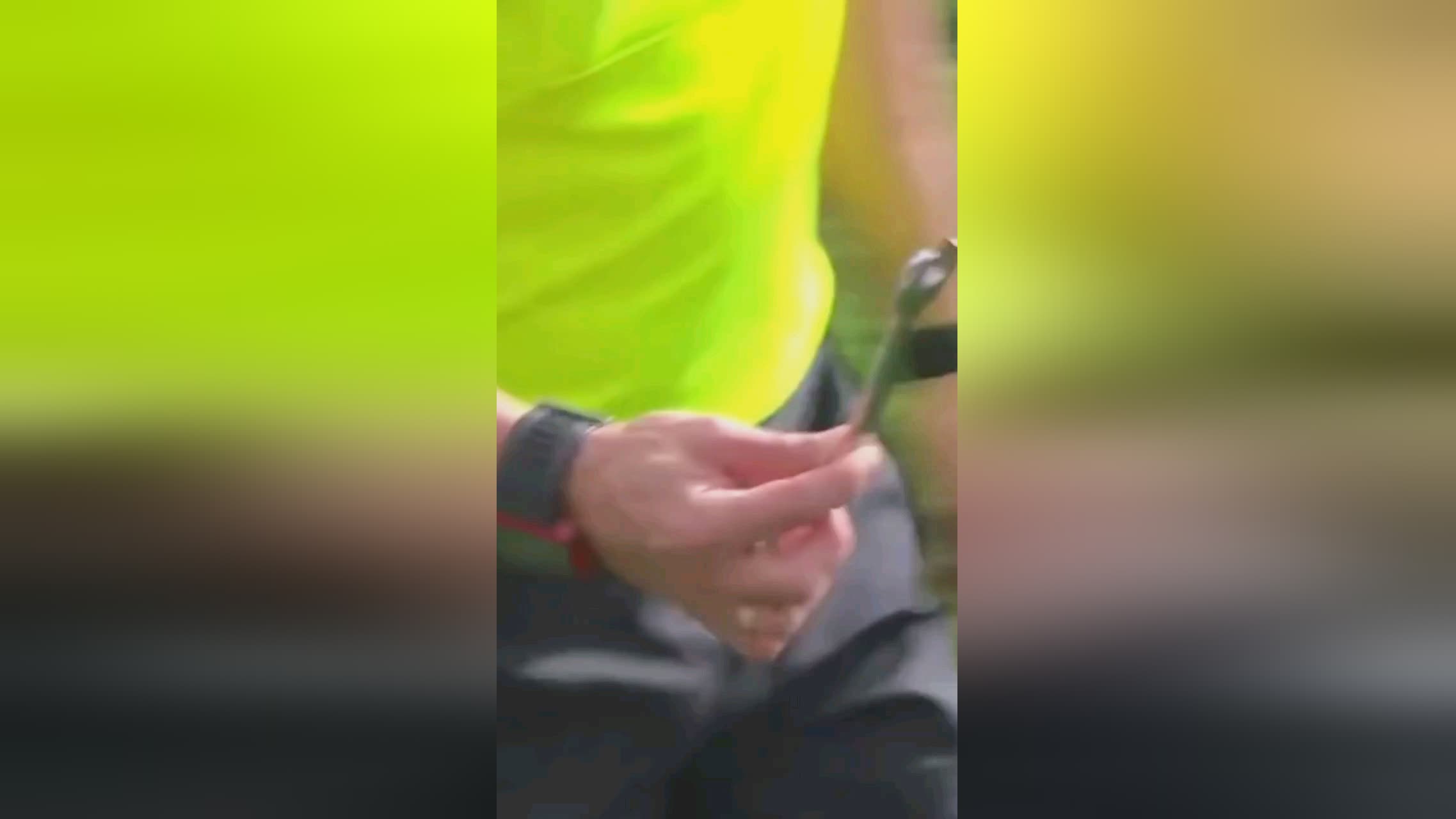记者勒沃库