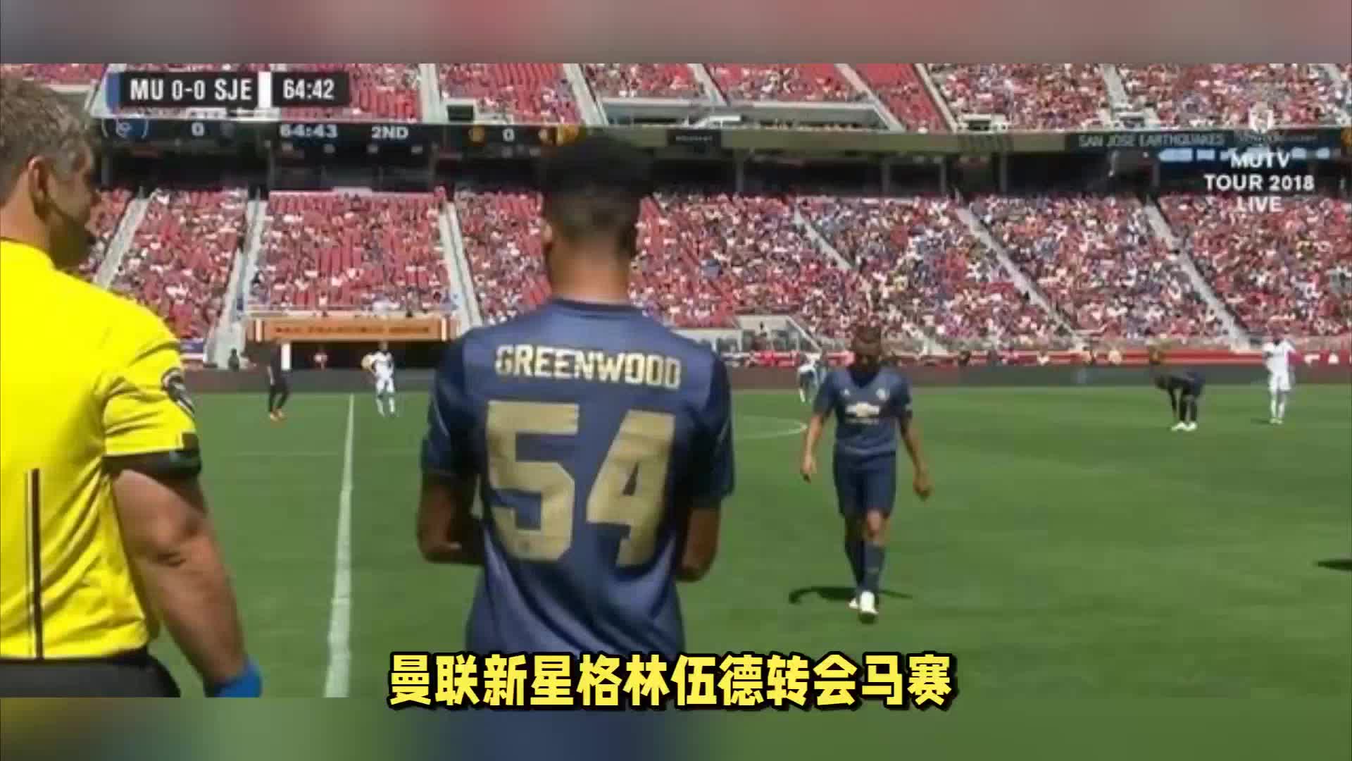 詹姆斯哈